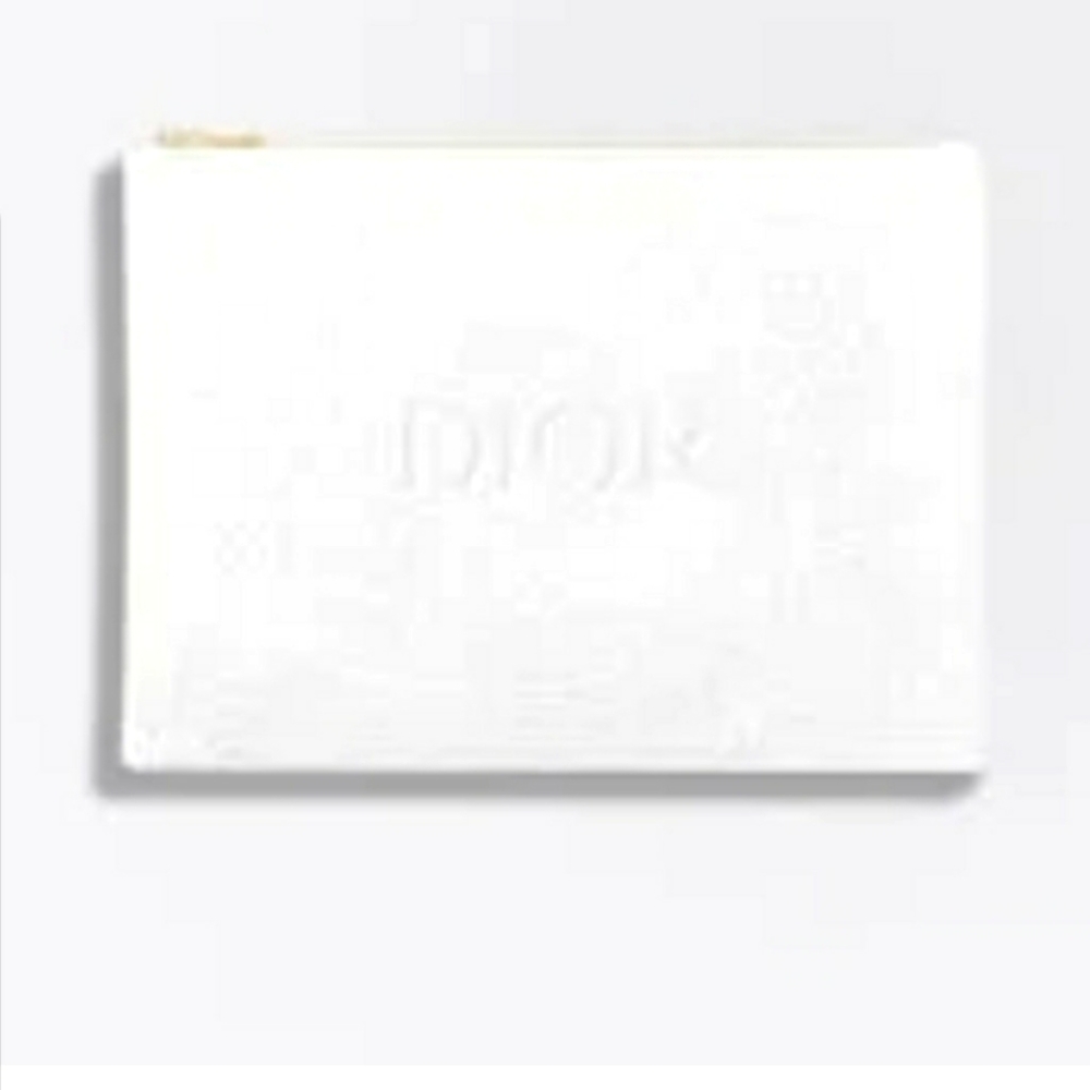 New Dior Pouch